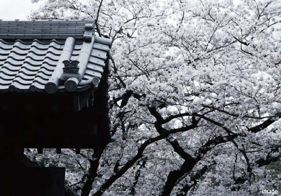 光林寺｜ザ・パークハウスグラン麻布仙台坂
