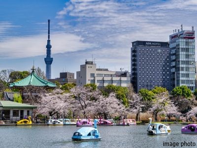 上野イメージ｜ザ・パークハウスグラン麻布仙台坂