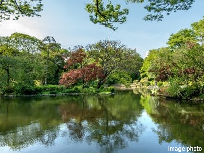 有栖川宮記念公園イメージ｜ザ・パークハウスグラン麻布仙台坂
