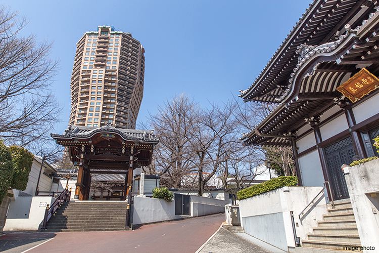 善福寺イメージ｜ザ・パークハウスグラン麻布仙台坂